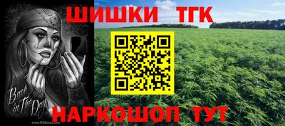 прущие грибы Нальчик