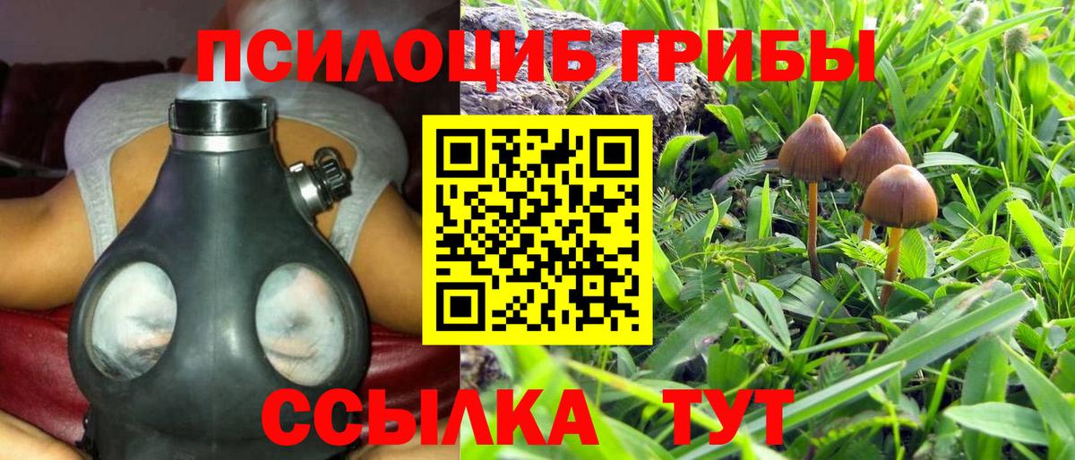Галлюциногенные грибы Psilocybe  Псилоцибиновые грибы Psilocybine cubensis  Вход с VPN  Усолье-Сибирское 