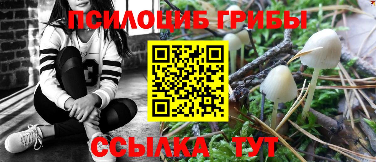Псилоцибиновые грибы Magic Shrooms Усолье-Сибирское